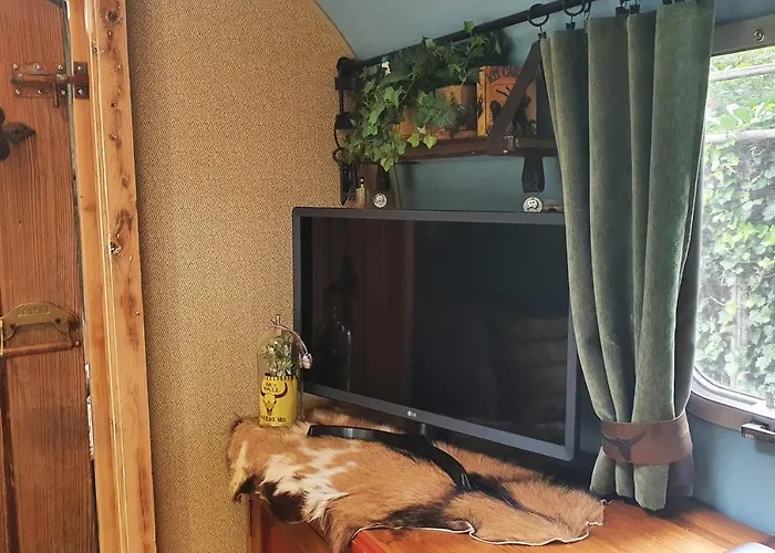 Bed & Breakfast Airstreamnb