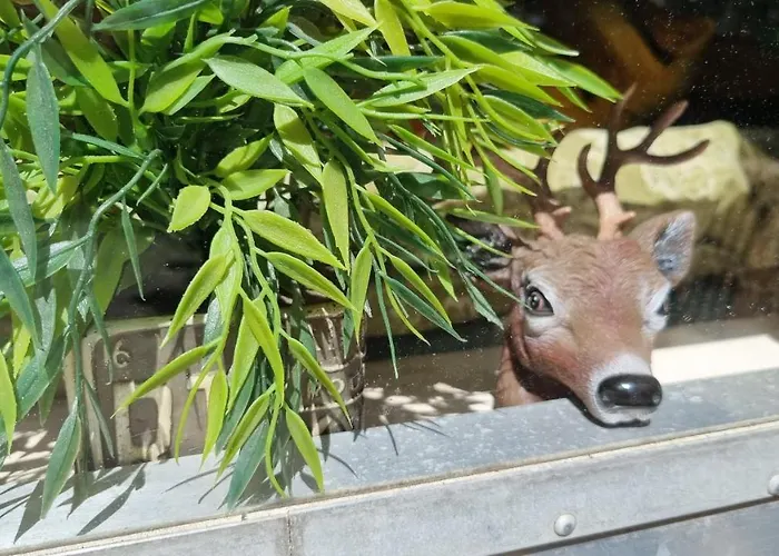 Airstreamnb Couette-café 4*