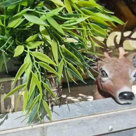 Airstreamnb Bed and breakfast 4*